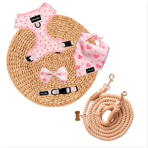 Pink Blushing Love Dog Harness Matching Walking Set with Rope Leash - Daizzy Gear - Stylish Accessories for Dogs