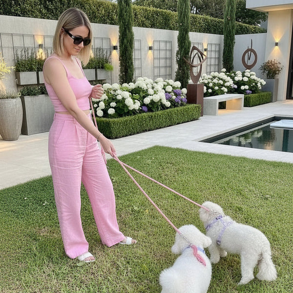 Pink Blushing Love Dog Harness Matching Walking Set with Rope Leash - Daizzy Gear - Stylish Accessories for Dogs