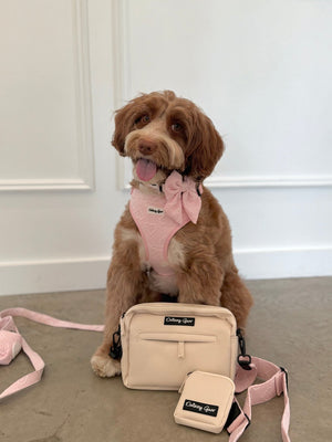 Petite Amour Pink Dog Walking Bag with Treat Pouch - Daizzy Gear - Stylish Accessories for Dogs