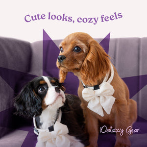 Pink Retractable Dog Walking Leash ( up to 44 lbs) - Daizzy Gear - Stylish Accessories for Dogs