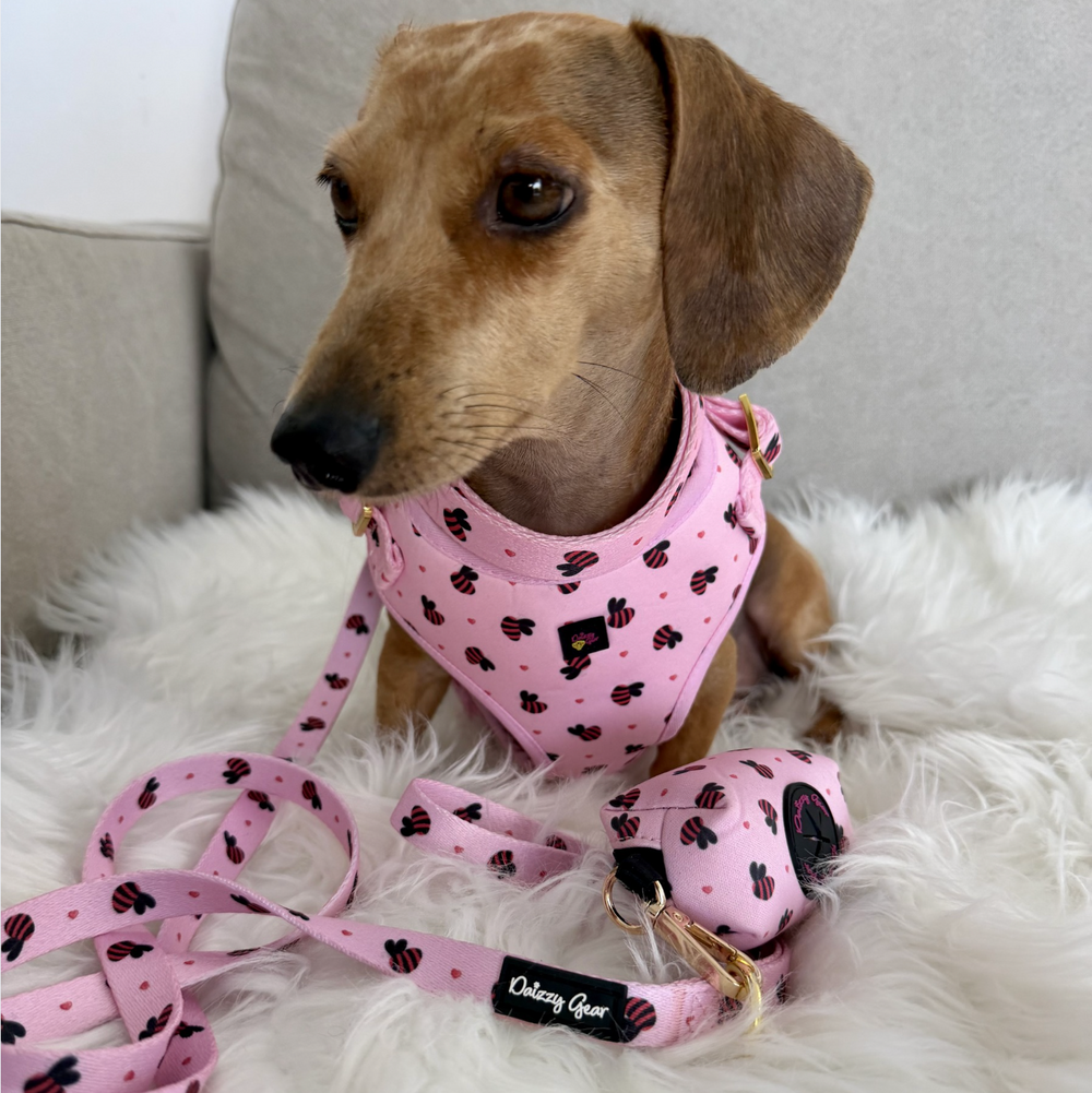 Pink Bumblebees Deluxe Dog Matching Set
