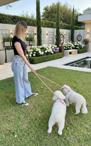 Pink Hands- Free Dog Rope Leash