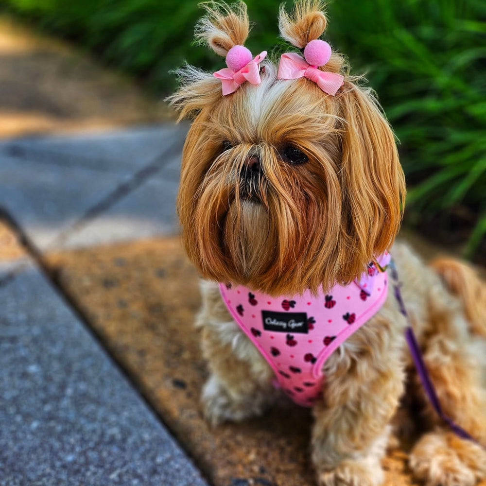 Pink dog harness, collar, and leash set with black polka dots on a white background