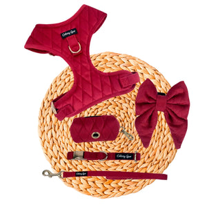 Pup Wishes Red Velvet Dog Walking Matching Harness Set- Christmas Edition - Daizzy Gear - Stylish Accessories for Dogs