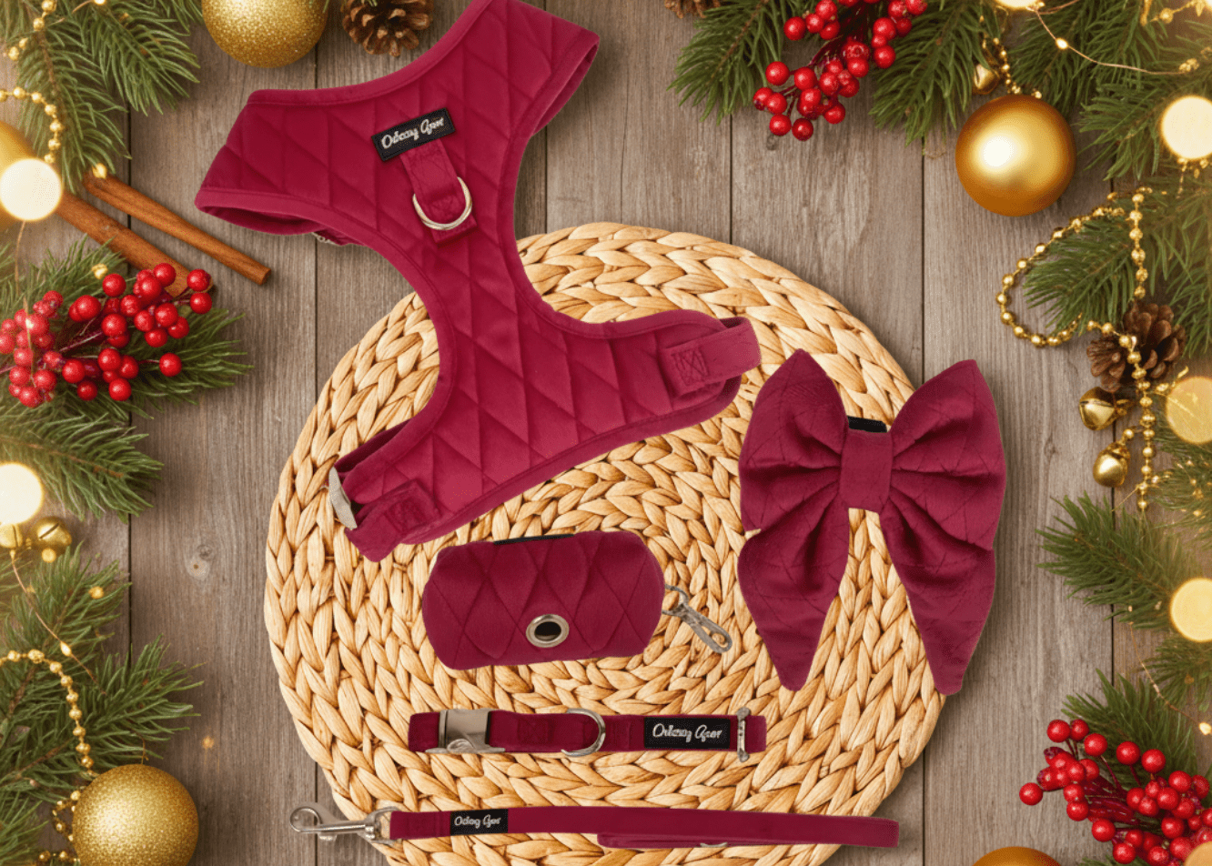 Pup Wishes Red Velvet Dog Walking Matching Harness Set- Christmas Edition - Daizzy Gear - Stylish Accessories for Dogs