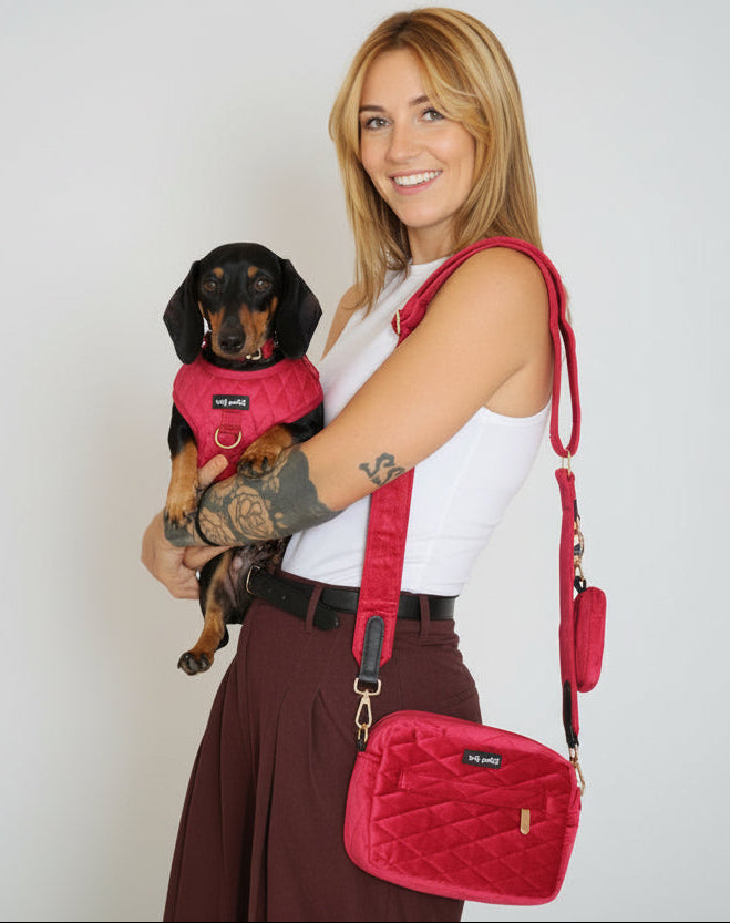 Pup Wishes Velvet Dog Walking Bag with Treat Pouch - Limited Edition - Daizzy Gear - Stylish Accessories for Dogs