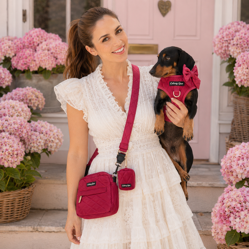 A pet accessory set in a deep magenta pink quilted nylon fabric, including a crossbody bag with an adjustable strap, a small pouch, a diamond-quilted harness, a matching bow headband, a leash, and a small zippered pouch. The set is displayed on a clean white background.