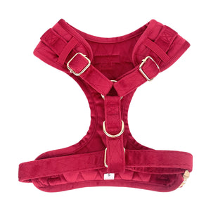 Pup Wishes Dog Matching Set - Limited Edition- Coming Soon