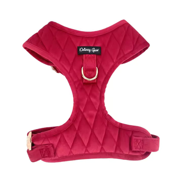 Pup Wishes Dog Matching Set - Limited Edition- Coming Soon