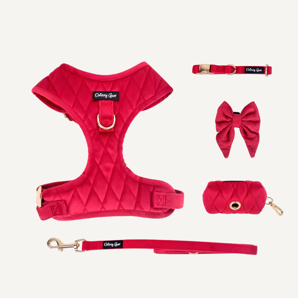 Dog Red Velvet 5-Piece Deluxe Matching Set - Pup wishes