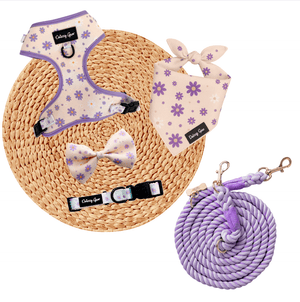 Purple Daisy Dreams Dog Walking Matching Set with Rope Leash - Daizzy Gear - Stylish Accessories for Dogs