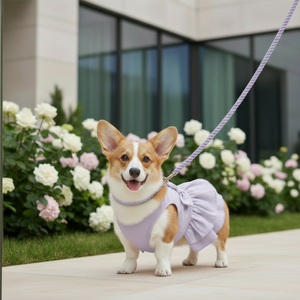Purple Hands- Free Dog Rope Leash
