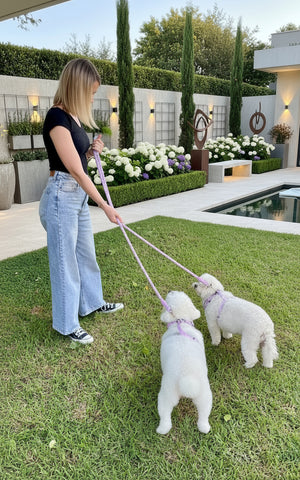 Purple Hands- Free Dog Rope Leash