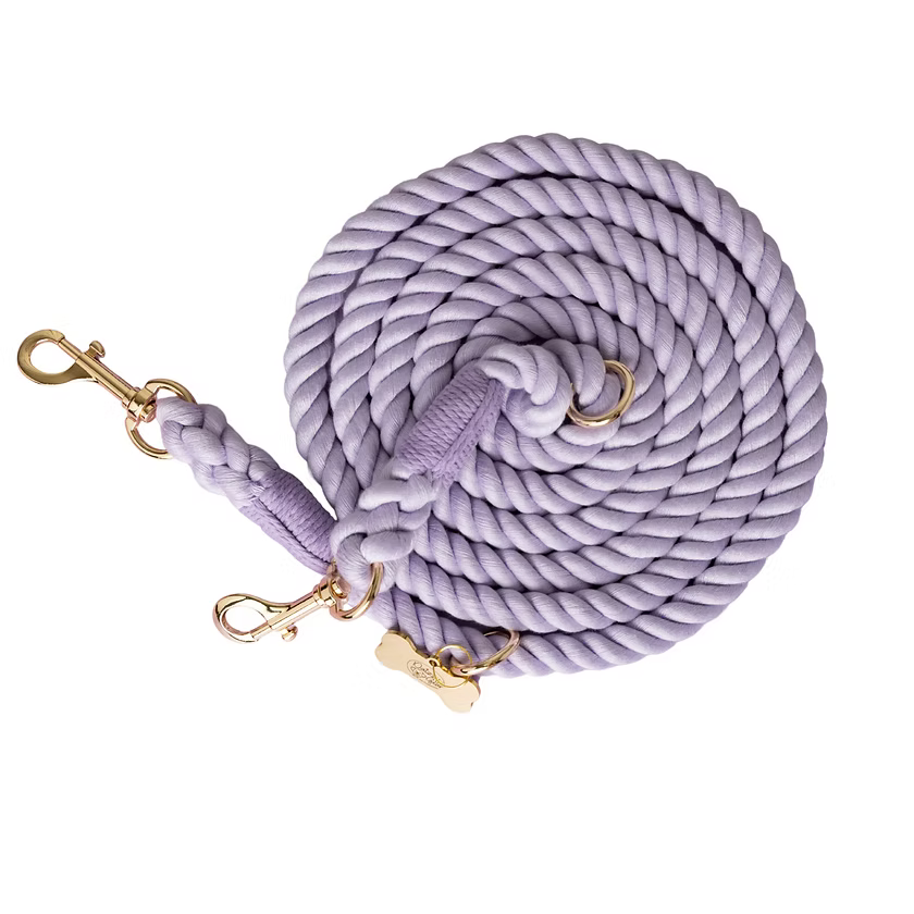 Purple Hands- Free Dog Rope Leash