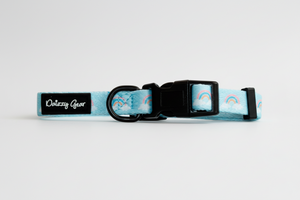Dog collar with rainbow pattern and 'Daizzy Gear' label on a white background