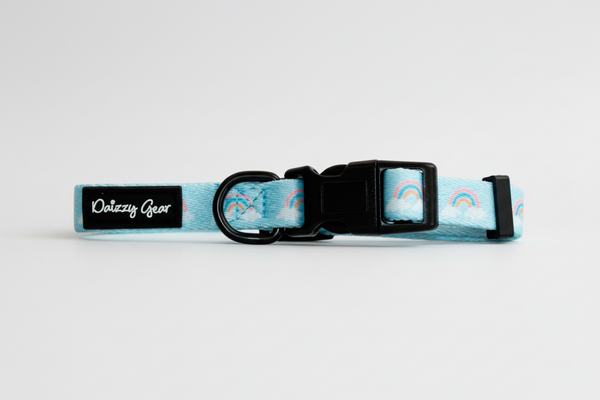 Dog collar with rainbow pattern and 'Daizzy Gear' label on a white background