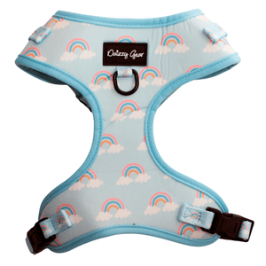 Rainbow Bliss Dog Harness Matching Walking Set - Daizzy Gear - Stylish Accessories for Dogs