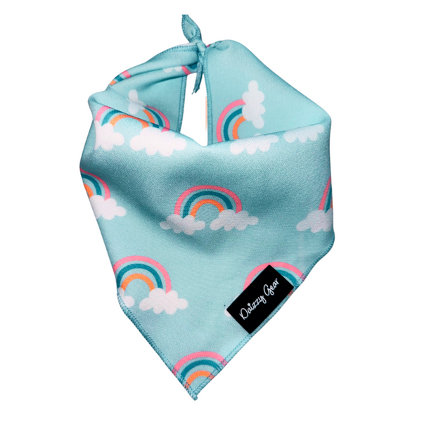 Rainbow Bliss Dog Harness Matching Walking Set