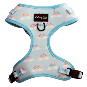Rainbow Bliss Dog Harness Matching Walking Set