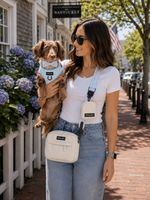 A woman wearing a white t-shirt and light blue jeans stands on a sunny brick sidewalk, holding a brown dachshund. She is wearing a white crossbody dog bag from Naultyche, which has a light blue patterned strap and a matching small dog bandana on the dog.