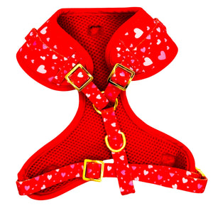 Red Hearts Dog Harness Matching Walking Set - Daizzy Gear - Stylish Accessories for Dogs