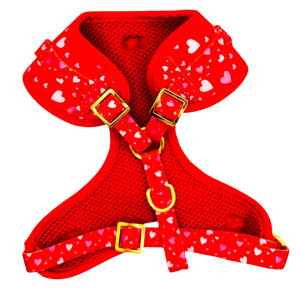 Red Hearts Dog Harness Matching Walking Set - Daizzy Gear - Stylish Accessories for Dogs