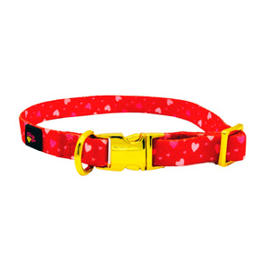 Red Hearts Dog Harness Matching Walking Set - Daizzy Gear - Stylish Accessories for Dogs