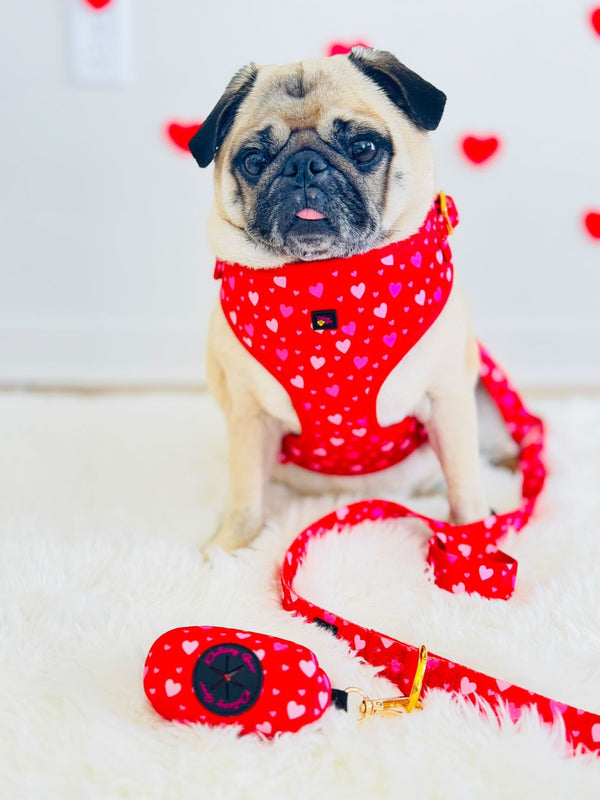 Red Hearts Dog Poop Bag Holder with Clip - Daizzy Gear - Stylish Accessories for Dogs