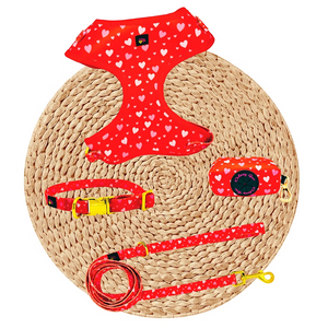 Red Hearts Dog Harness Matching Walking Set