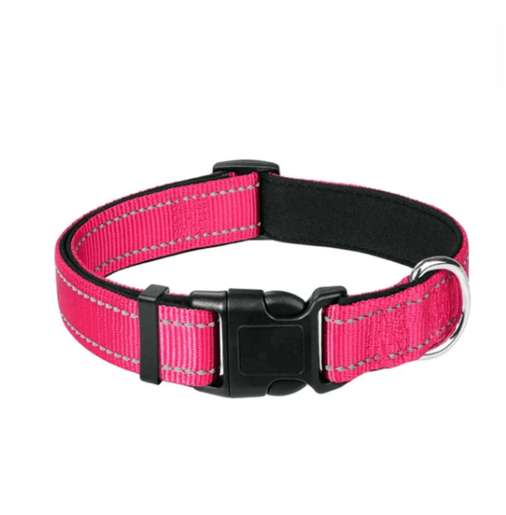 Pink Reflective Dog Collar and Leash with Poop Bag Holder - Daizzy Gear - Stylish Accessories for Dogs