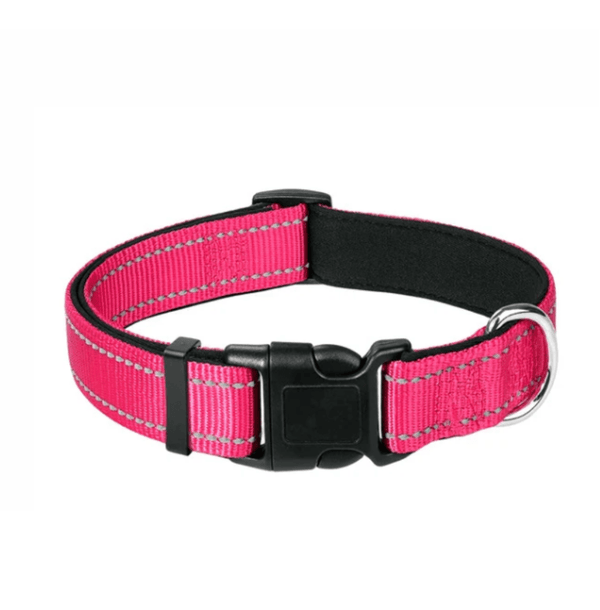 Pink Reflective Dog Collar and Leash with Poop Bag Holder - Daizzy Gear - Stylish Accessories for Dogs