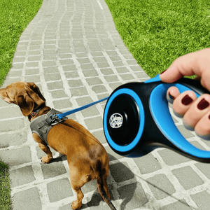 Retractable Blue Dog Walking Leash - Daizzy Gear - Stylish Accessories for Dogs