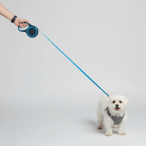 Retractable Blue Dog Walking Leash - Daizzy Gear - Stylish Accessories for Dogs