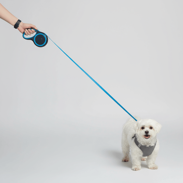 Retractable Blue Dog Walking Leash - Daizzy Gear - Stylish Accessories for Dogs