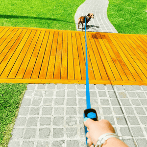 Retractable Blue Dog Walking Leash - Daizzy Gear - Stylish Accessories for Dogs