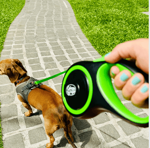 Green Retractable Dog Walking Leash (Up to 44 lbs) - Daizzy Gear - Stylish Accessories for Dogs