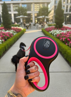 Pink Retractable Dog Walking Leash ( up to 44 lbs) - Daizzy Gear - Stylish Accessories for Dogs