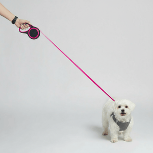 Pink Retractable Dog Walking Leash ( up to 44 lbs) - Daizzy Gear - Stylish Accessories for Dogs