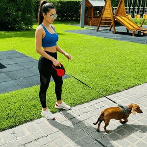 Red Retractable Dog Leash with Poop Bag DIspenser - Daizzy Gear - Stylish Accessories for Dogs