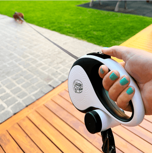 White Retractable Dog Leash with Poop Bag Dispenser - Daizzy Gear - Stylish Accessories for Dogs