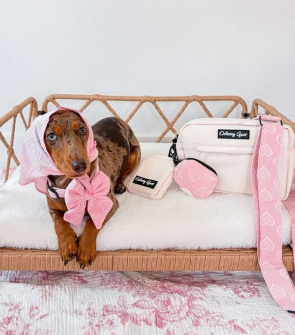 A small brown dog wearing a pink bow and matching pink headscarf sits on a woven pet bed with a white cushion. Next to the bed are pink and white Disney-themed accessories, including a shoulder bag with a pink patterned strap, a small pink pouch, and a white bag with a black Disney logo, all set against a white wall and pink floral fabric.