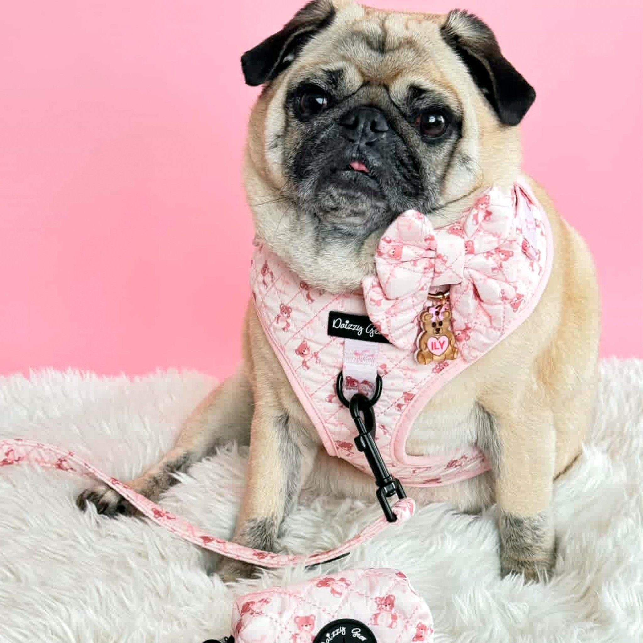 Chic & Comfy: Teddy Coquette Pink Dog Harness Walking Set