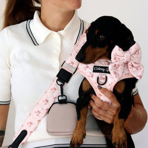 Teddy Coquette Pink Dog Mom Twinning Bundle ( Dog Walking Set + Matching Bag) - Daizzy Gear - Stylish Accessories for Dogs