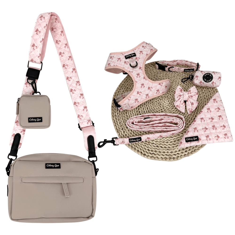 Teddy Coquette Pink Dog Mom Twinning Bundle ( Dog Walking Set + Matching Bag) - Daizzy Gear - Stylish Accessories for Dogs