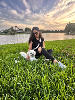 Cream Petite Amour Dog Walking Bag with Treat Pouch