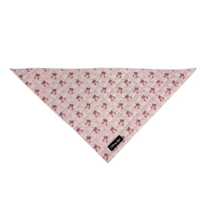 Teddy Coquette Dog Harness Matching Walking Set