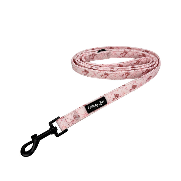 Teddy Coquette Dog Harness Matching Walking Set