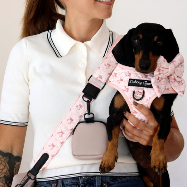 Teddy Coquette Matching Set + Matching Bag