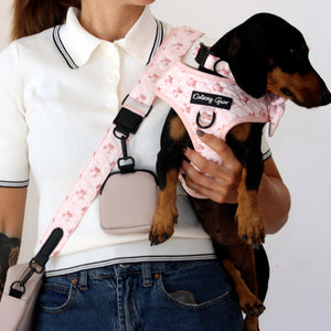 Teddy Coquette Dog Walking Bag with Treat Pouch